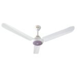 Ravi GFC Ceiling Fan